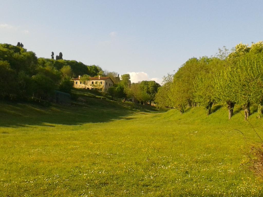 ロニーゴ Casale La Rocchetta Bed & Breakfast エクステリア 写真